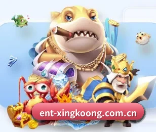 关于我们 - 体育资讯内容服务（xingkong）