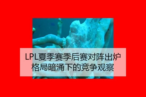 LPL夏季赛季后赛对阵出炉 格局暗涌下的竞争观察